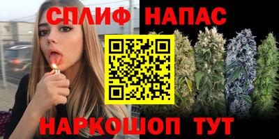 apvp Рыбинск