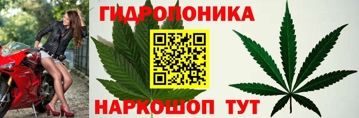 Канабис конопля  Канабис White Widow  Конопля планчик  Шарыпово  МАРИХУАНА LSD WEED  Вход с VPN 